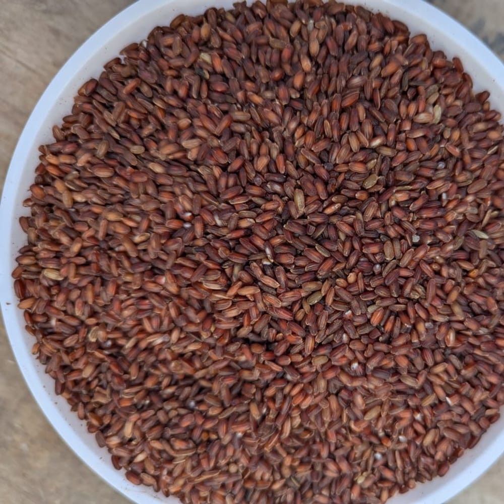 লাল চাল (ফুল ফাইবার)