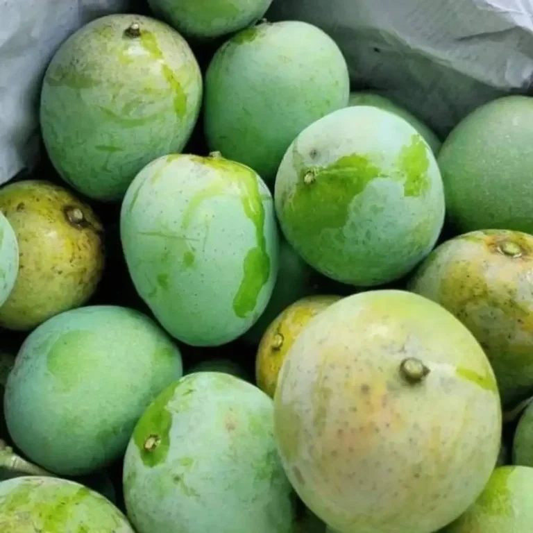 আম্রপালি আম ঝুড়িতে প্যাকেজড