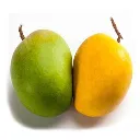 himsagor-aam-500x500.webp