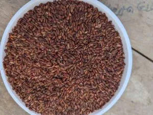 🌾আমনের লাল চাল (Aman Red Rice - Half Fiber / Full Fiber)