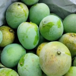 হিমসাগর আম